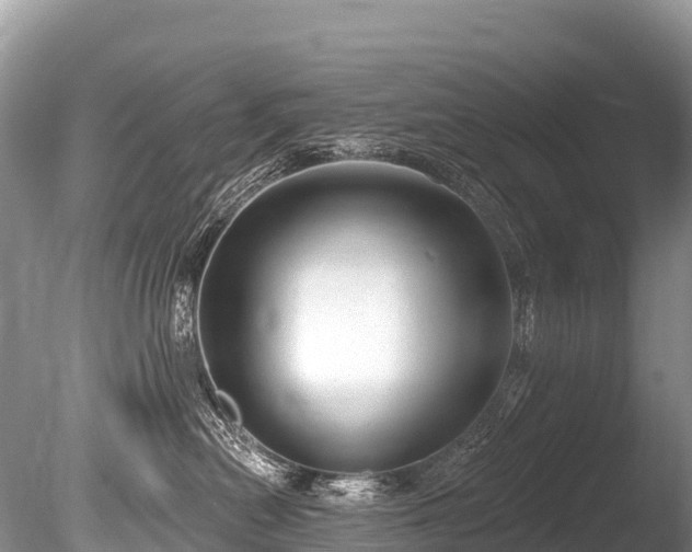 X0000086050478200703301111