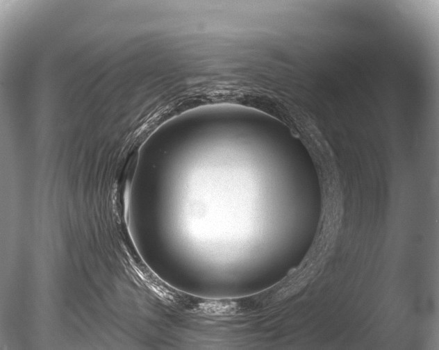 X0000086050480200703301111