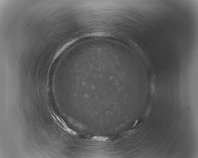 X0000086050484200703301110