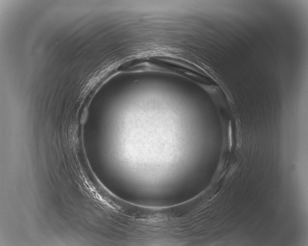 X0000086050485200703301110