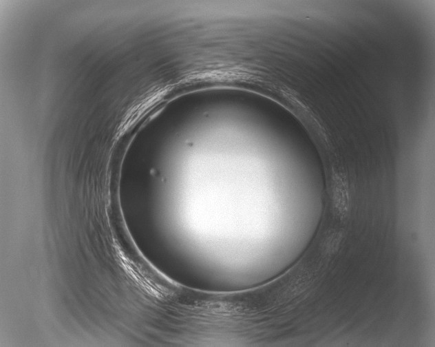 X0000086050486200703301110