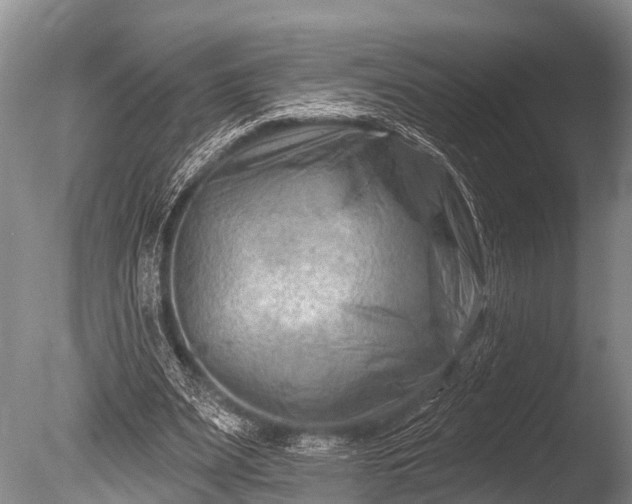 X0000086050487200703301110