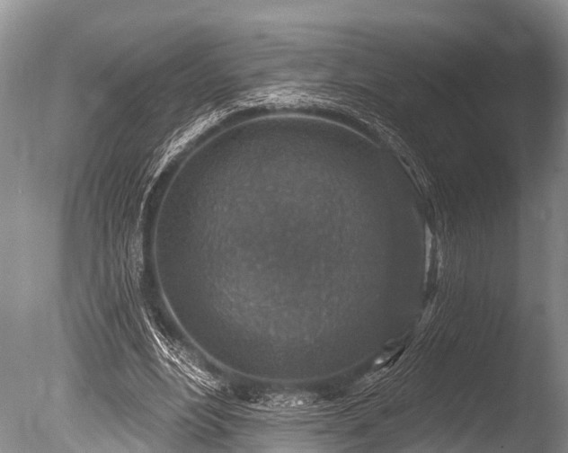 X0000086050488200703301110