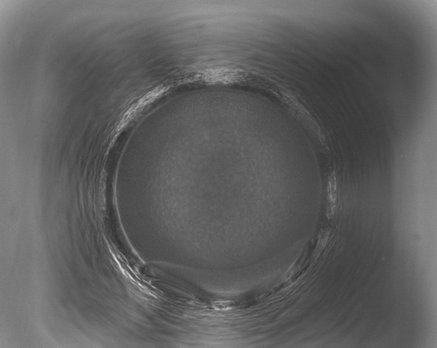 X0000086050492200703301110