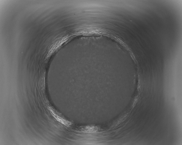 X0000086050493200703301110
