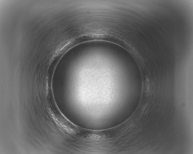 X0000086050494200703301110