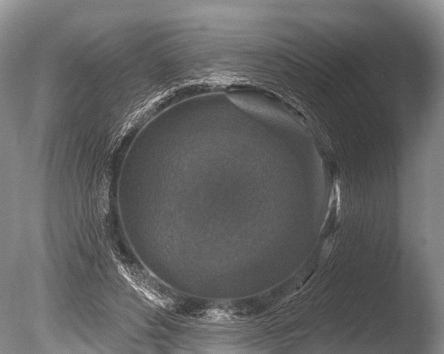 X0000086050496200703301110