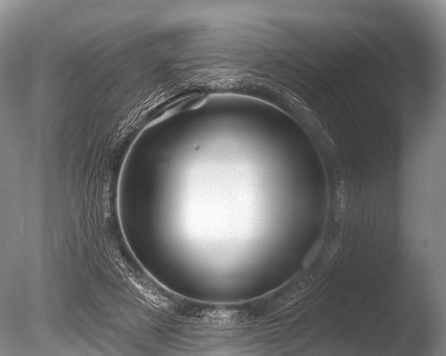 X0000086050497200703301109