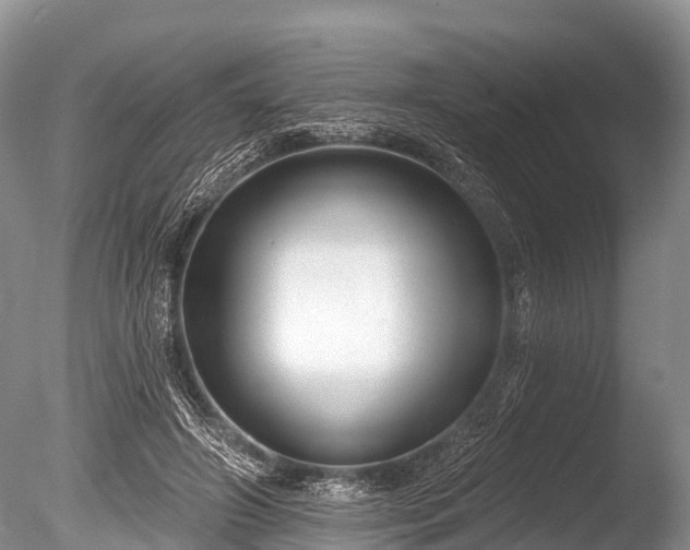 X0000086050498200703301109