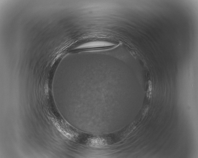 X0000086050500200703301109