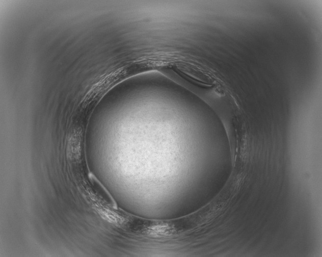 X0000086050505200703301109
