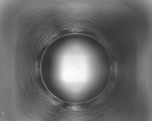 X0000086050506200703301109