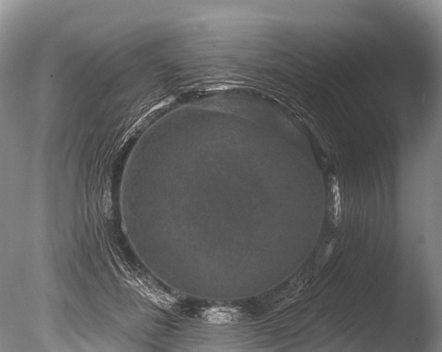 X0000086050508200703301109