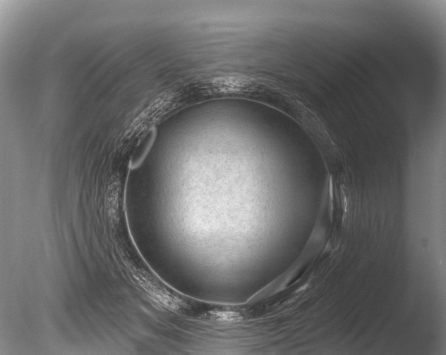 X0000086050509200703301109