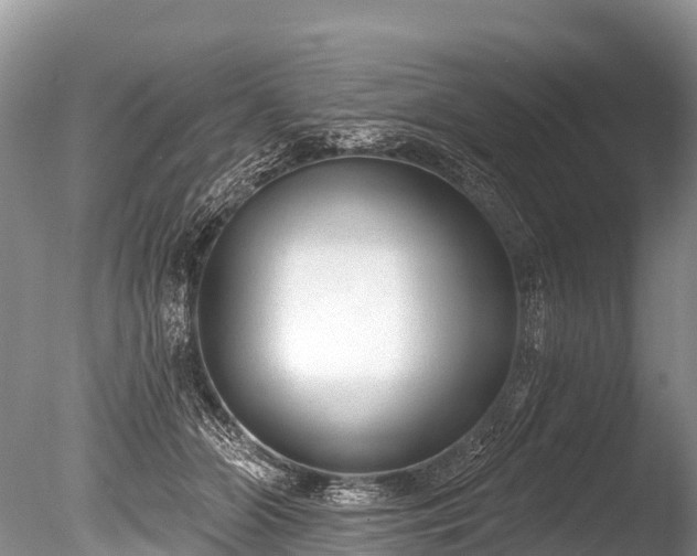 X0000086050510200703301109