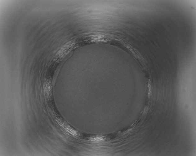 X0000086050513200703301109