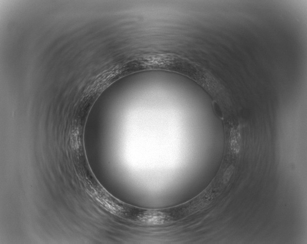 X0000086050514200703301109