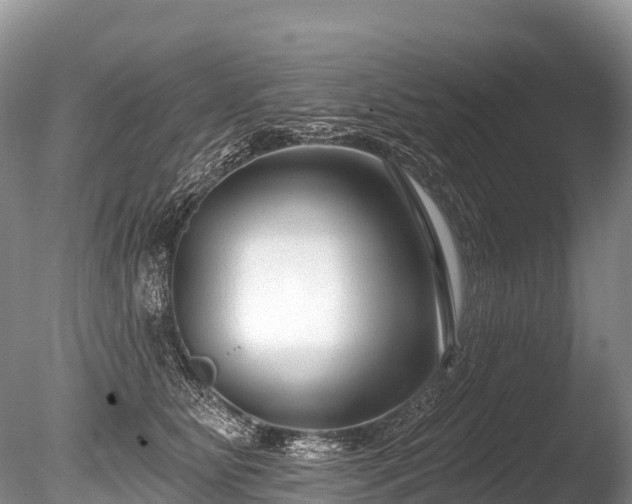 X0000086050515200703301109