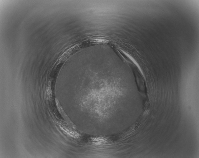 X0000086050516200703301109