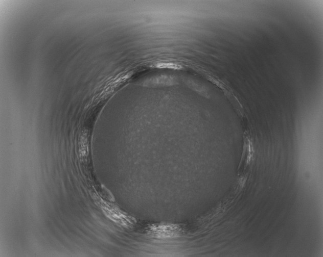 X0000086050517200703301109