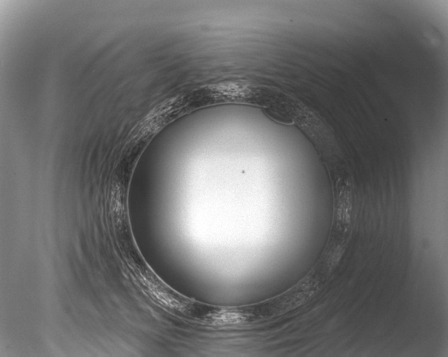 X0000086050518200703301109