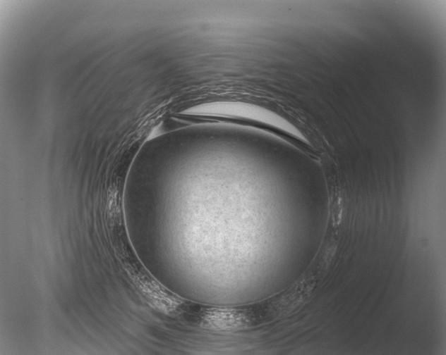 X0000086050521200703301109