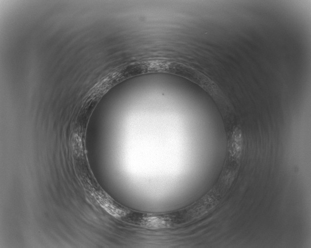 X0000086050522200703301109