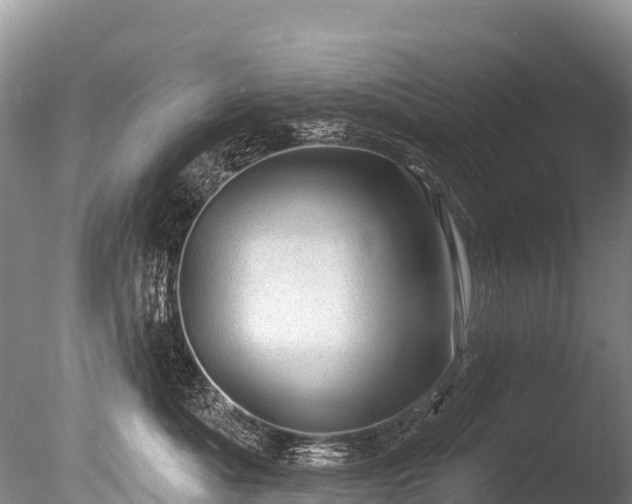 X0000086050525200703301109
