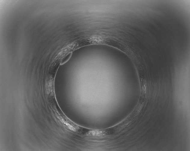X0000086050526200703301109