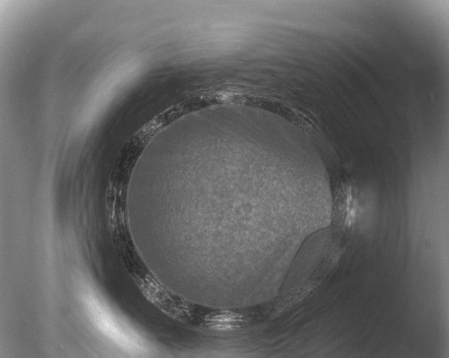 X0000086050527200703301109