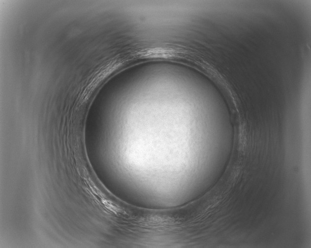 X0000086050529200703301108