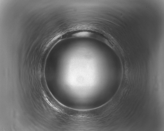X0000086050530200703301108