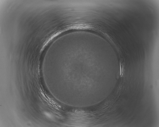 X0000086050531200703301108