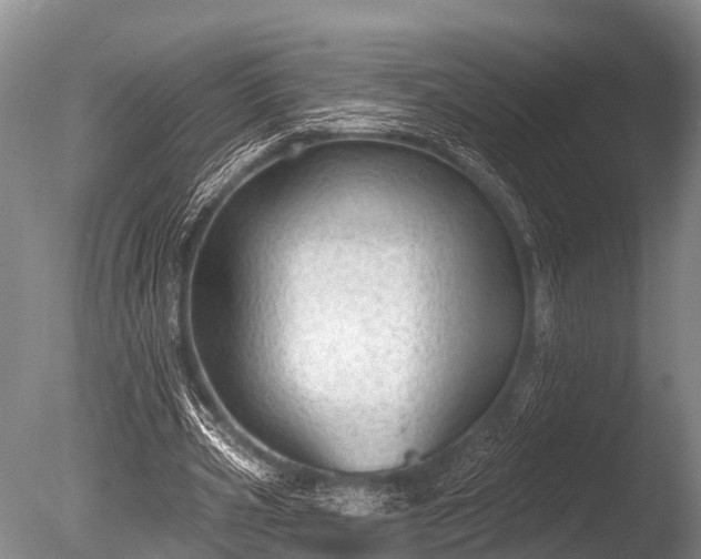 X0000086050533200703301108