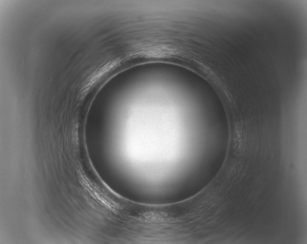 X0000086050535200703301108
