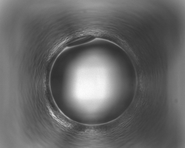 X0000086050538200703301108
