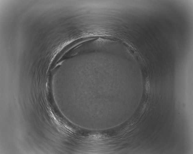 X0000086050540200703301108
