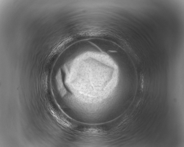 X0000086050542200703301108