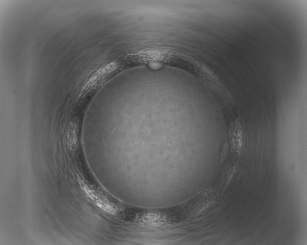 X0000086050546200703301108