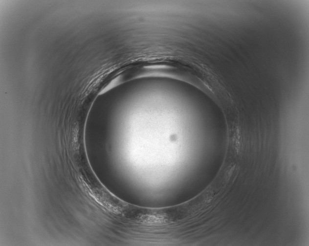 X0000086050548200703301108