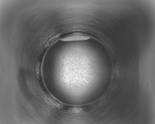 X0000086050554200703301109