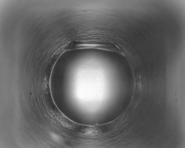 X0000086050555200703301109