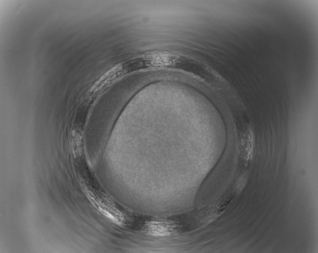 X0000086050556200703301109