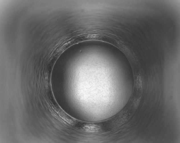 X0000086050557200703301109