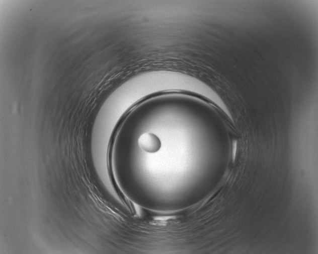 X0000086050558200703301109