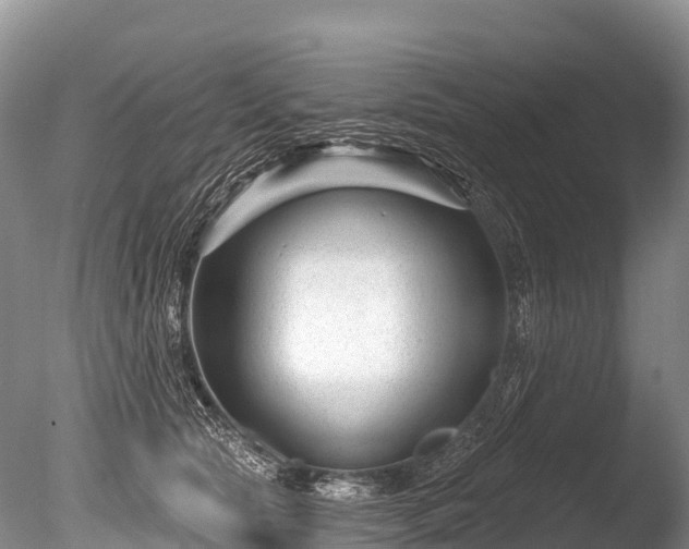 X0000086050561200703301109