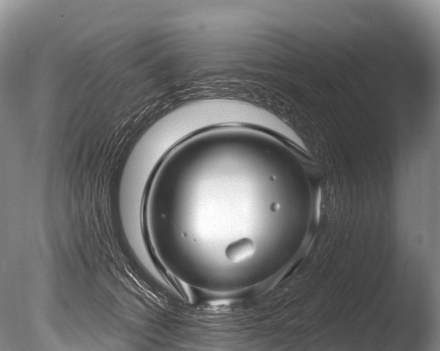 X0000086050562200703301109