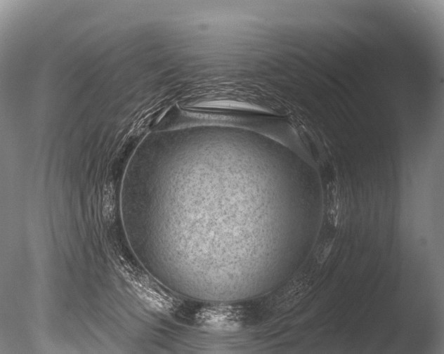 X0000086050563200703301109