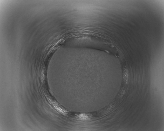 X0000086050566200703301109