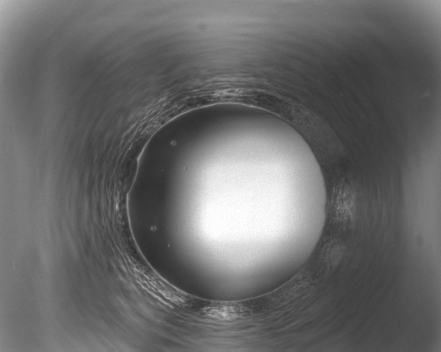 X0000086050567200703301109